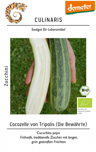 17055ZucchiniCocozelle.jpg